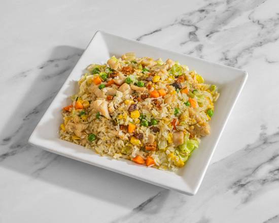 Fried Rice W/ Salted Fish & Chicken / 咸鱼鸡粒炒饭